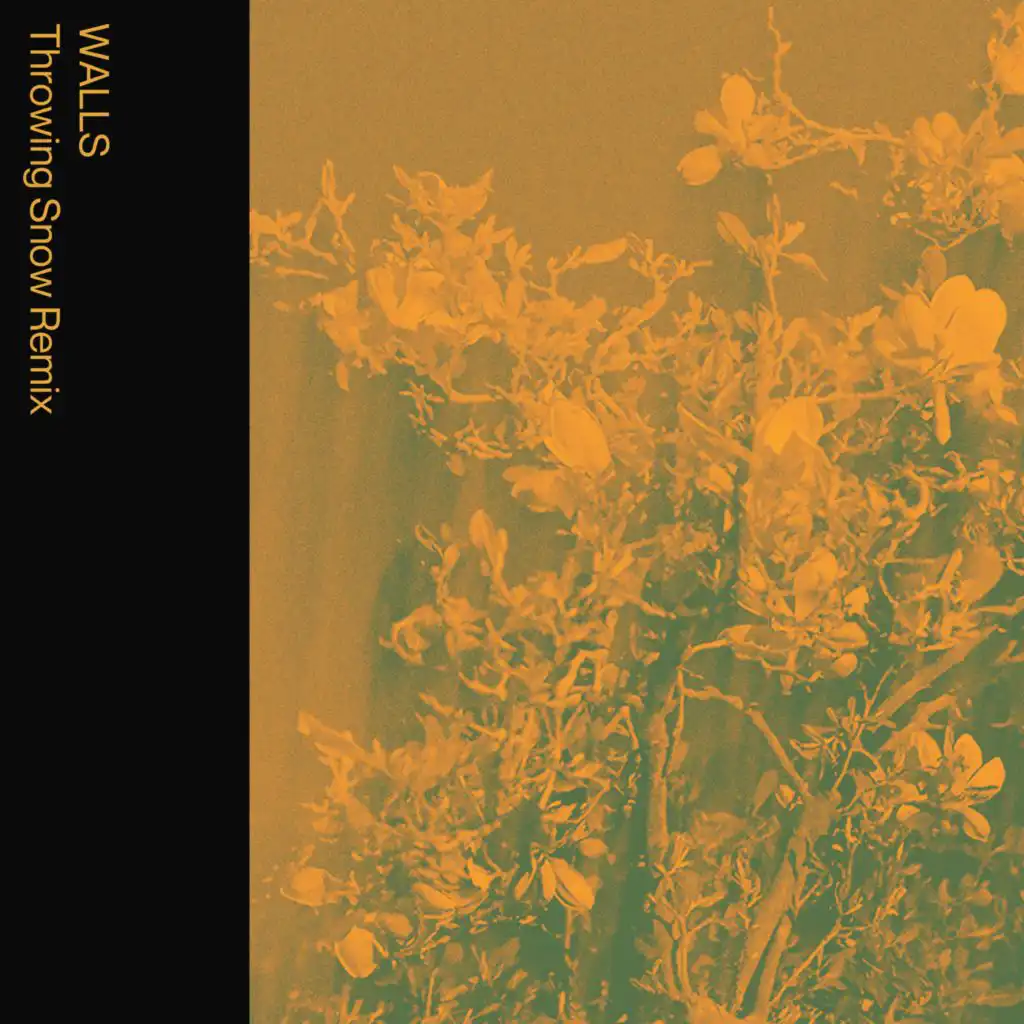 DESTINATIONS (Jacques Greene Remix)