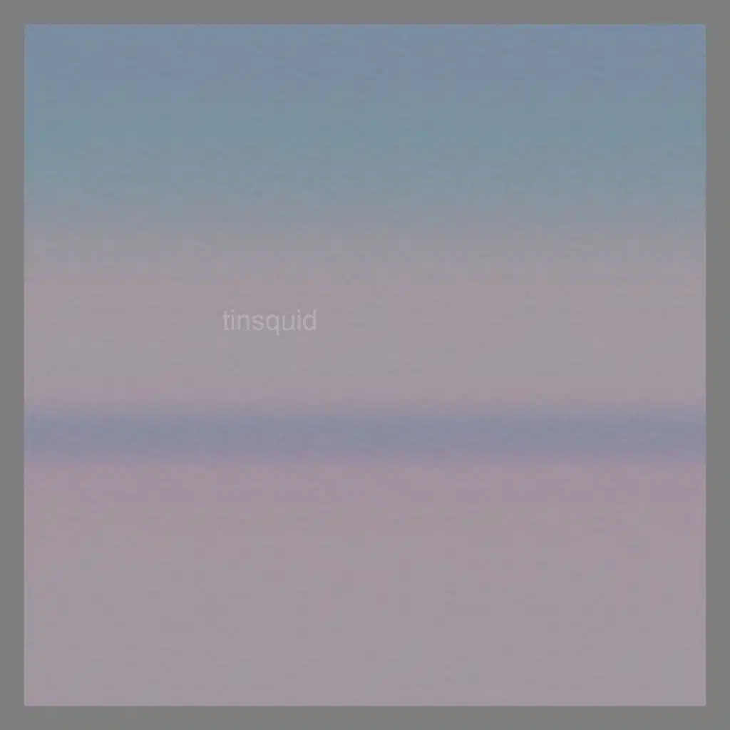 Tinsquid