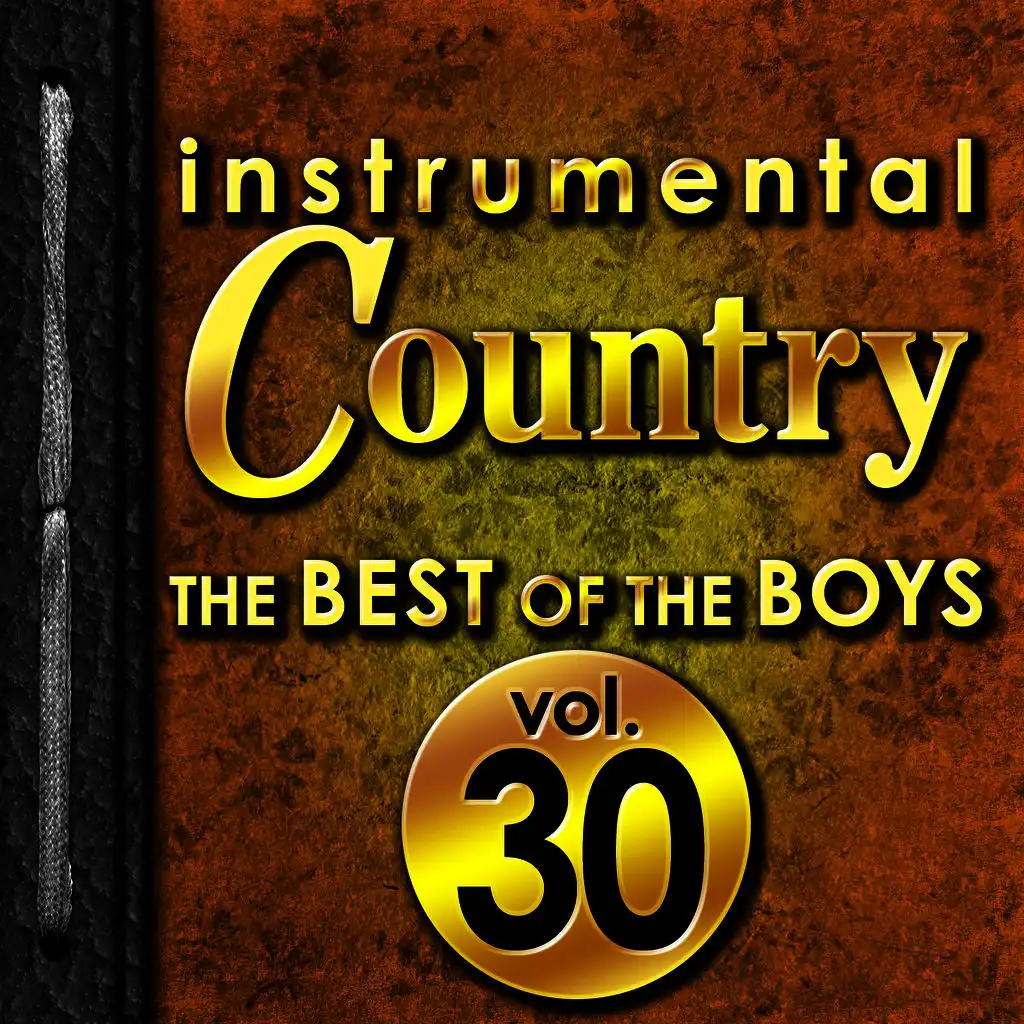 Instrumental Country: The Best of the Boys, Vol. 30