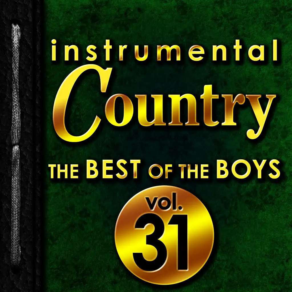 Instrumental Country: The Best of the Boys, Vol. 31