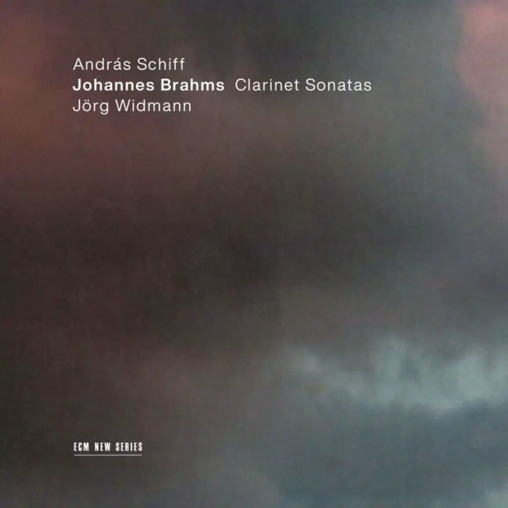Brahms: Clarinet Sonata No. 1 in F Minor, Op. 120 No. 1: IV. Vivace