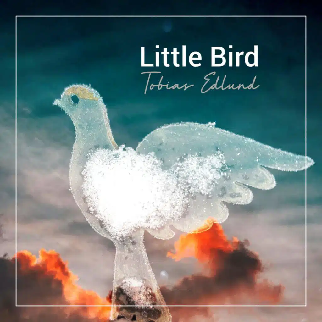 Little Bird