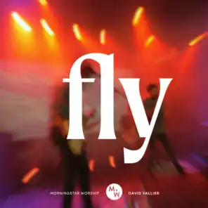 Fly (feat. David Vallier)