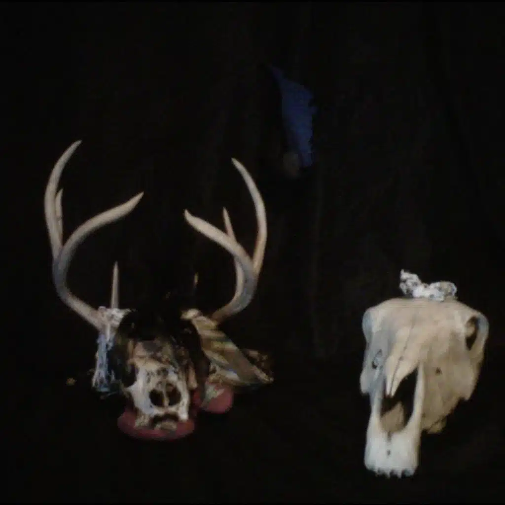 Astral Waltz No. 4: Buncha Blue Yodels