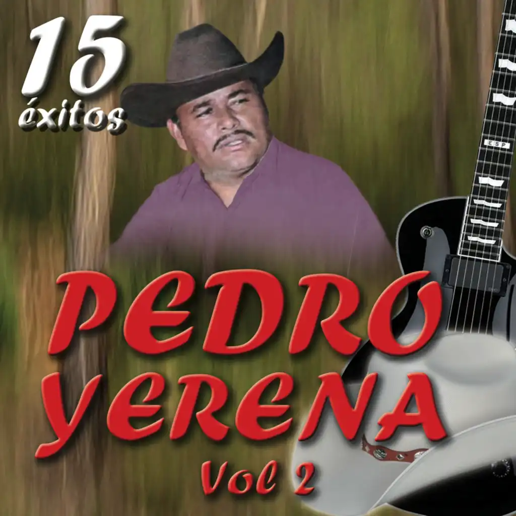 15 Exitos, Vol. 2