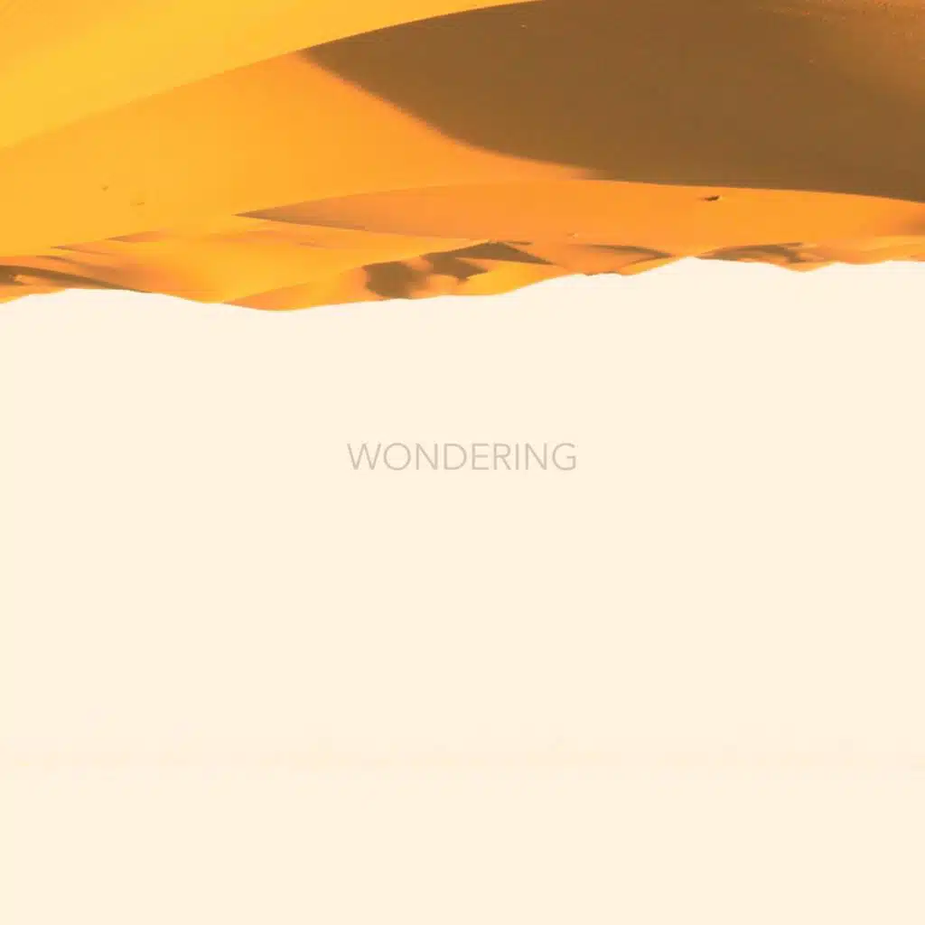 Wondering
