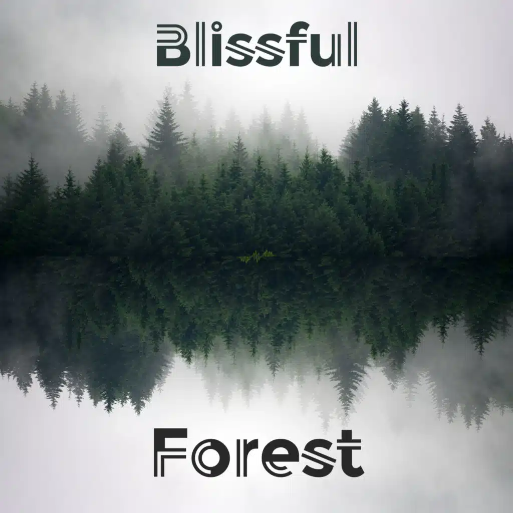Blissful Forest - Spa Music Collection by Musical Spa
