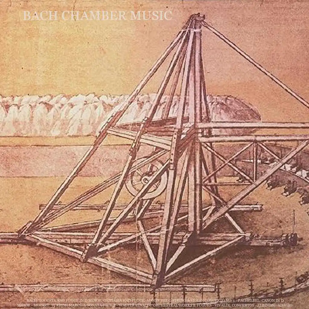 Piano Sonata No. 16 in C Major, K. 545 "Sonata Facile": II. Andante