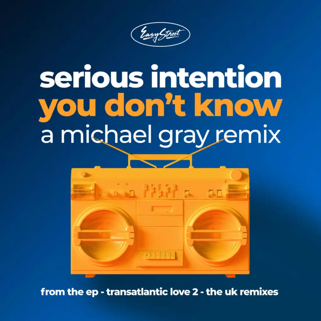 Serious Intention - You Don't Know - a Michael Gray Remix (Remix)