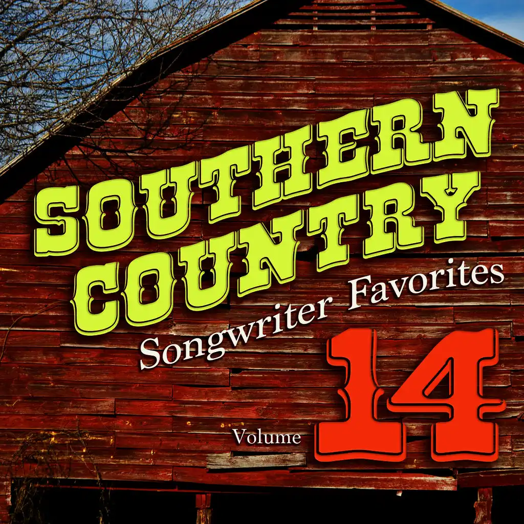 Southern Country Songwriter Favorites, Vol. 14