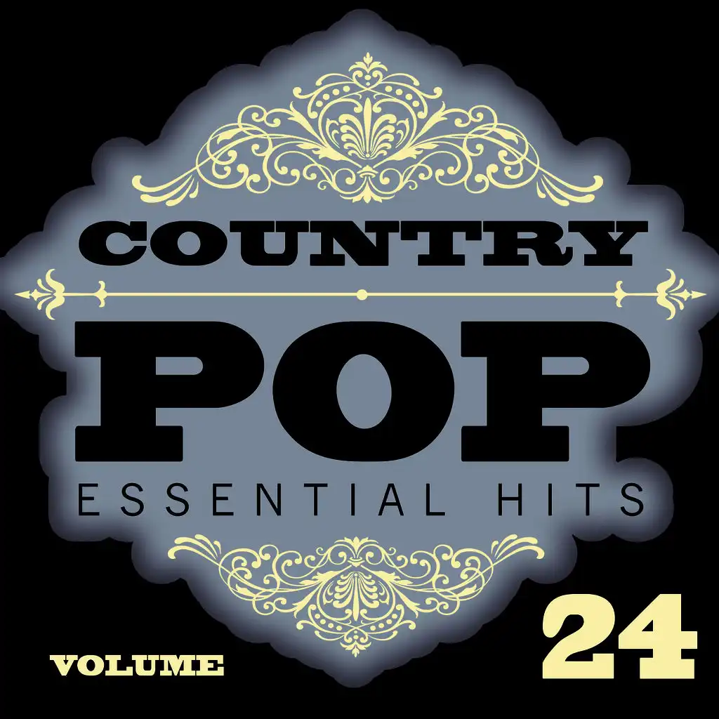 Country/Pop Essential Hits, Vol. 24