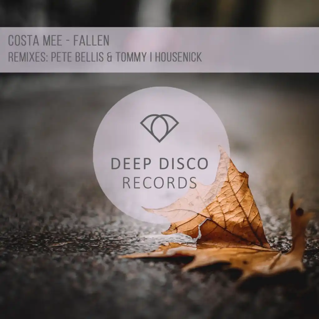 Fallen (Pete Bellis & Tommy Remix)