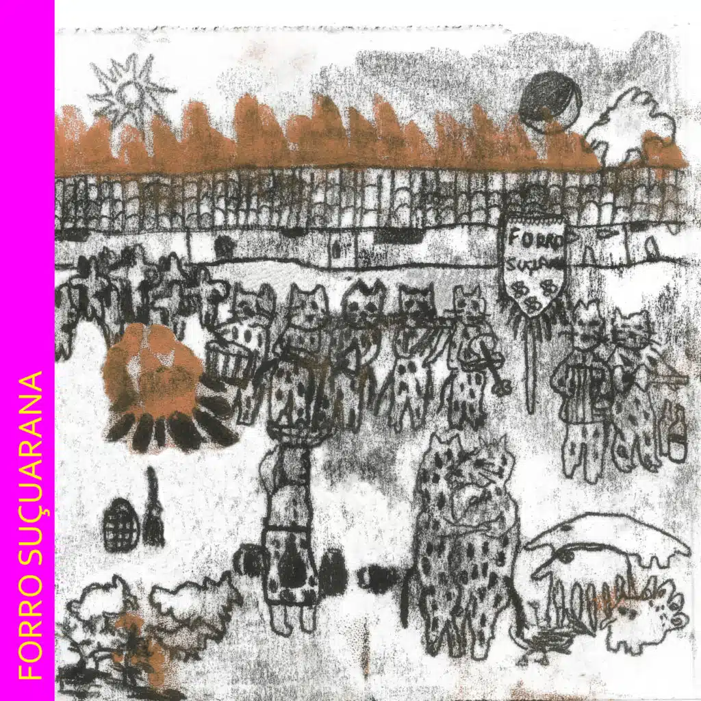 Forró Suçuarana, Vol. 1