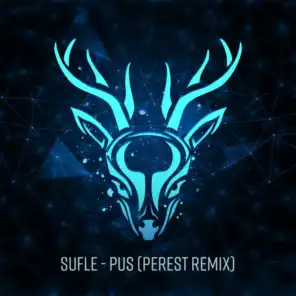 Pus (Perest Remix)