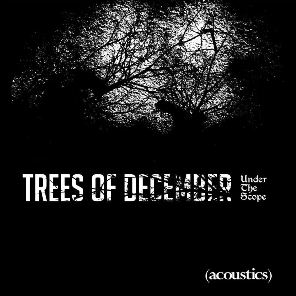 Under the Scope (Acoustics)