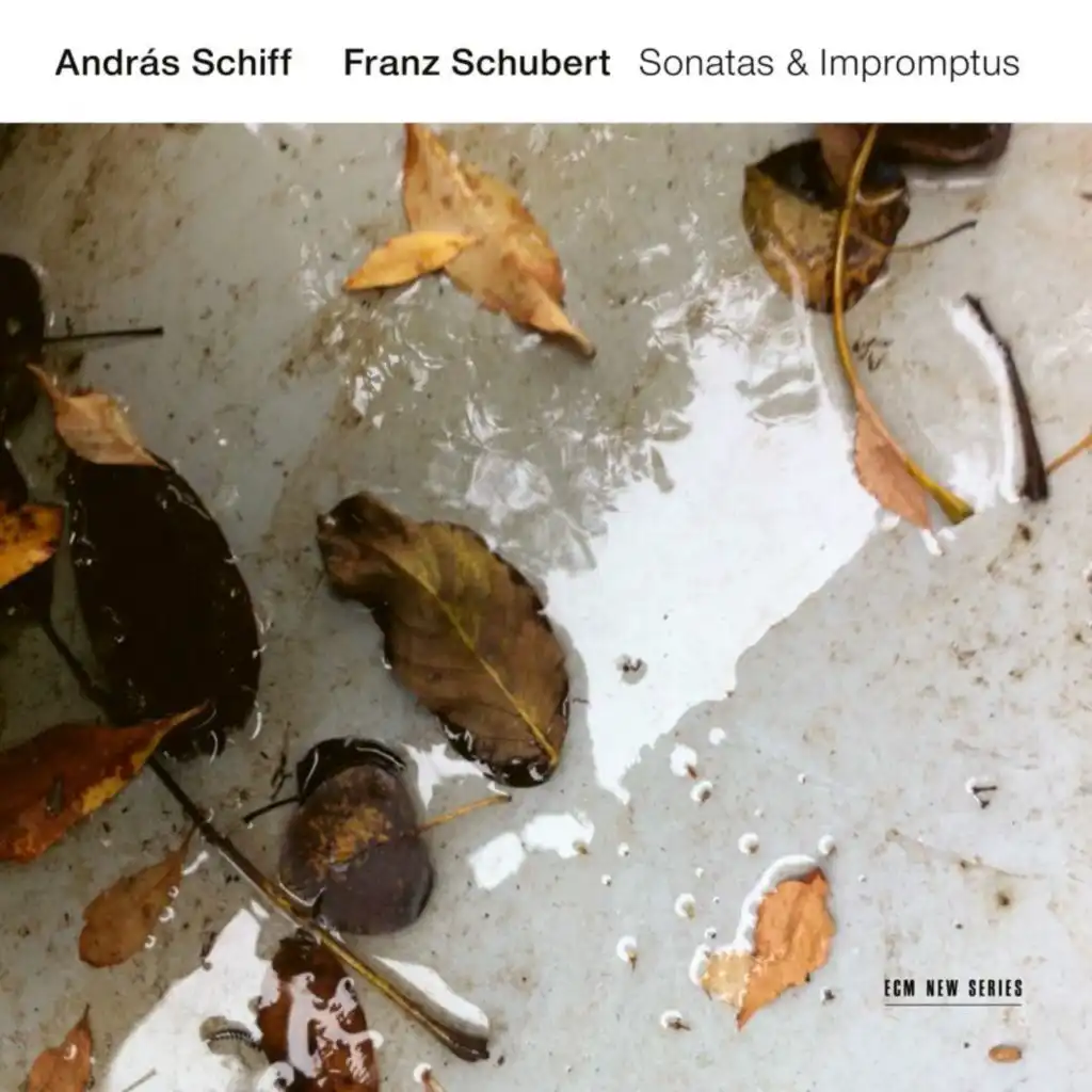 Schubert: 4 Impromptus, Op. 90, D. 899: 1. Allegro molto moderato