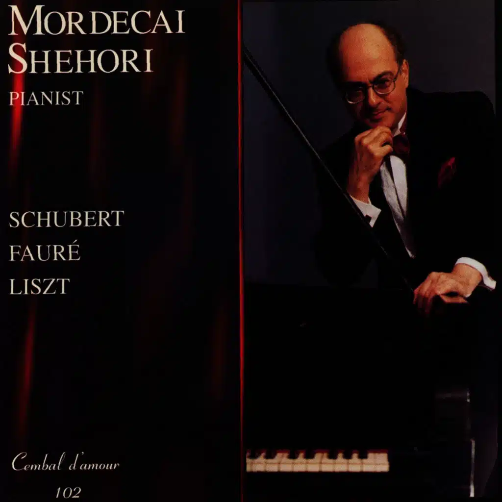 Fantasie in C Major, Op. 15, "The Wanderer": Allegro con fuoco, ma non troppo