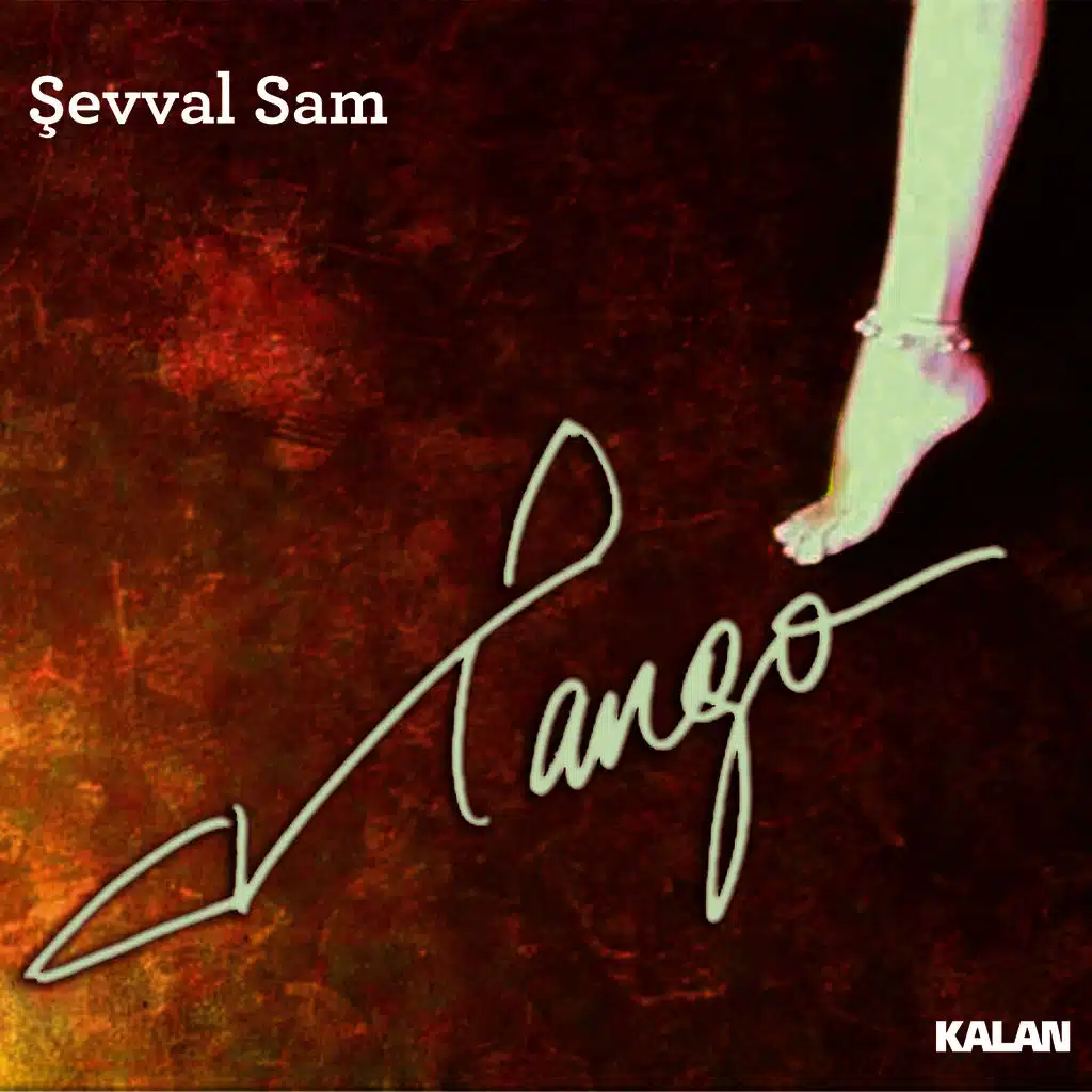 Libertango (Özgürlük Tangosu)