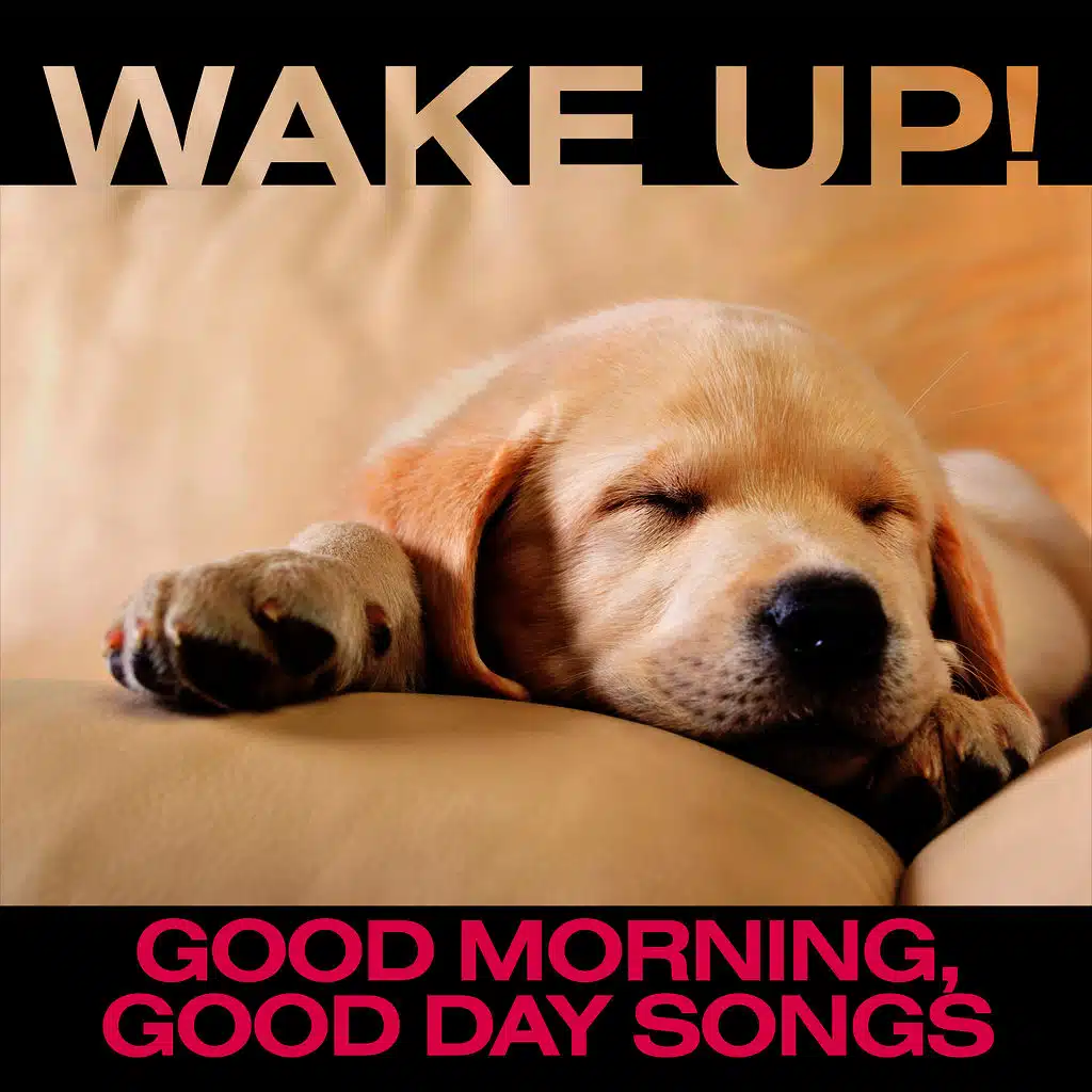 Wake Me up Before You Go-Go