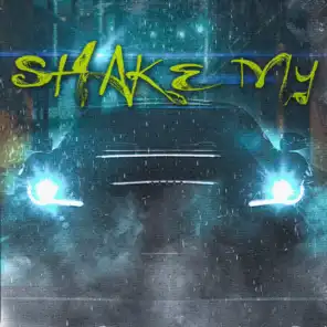 Shake My