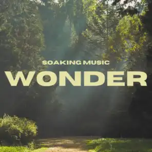 Wonder (Soaking Music)