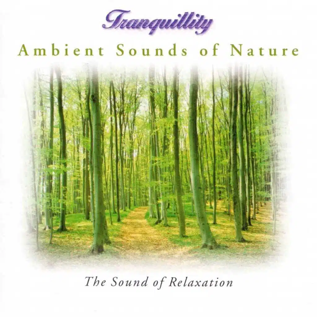 Ambient Sounds of Nature: The Sound of Relaxation