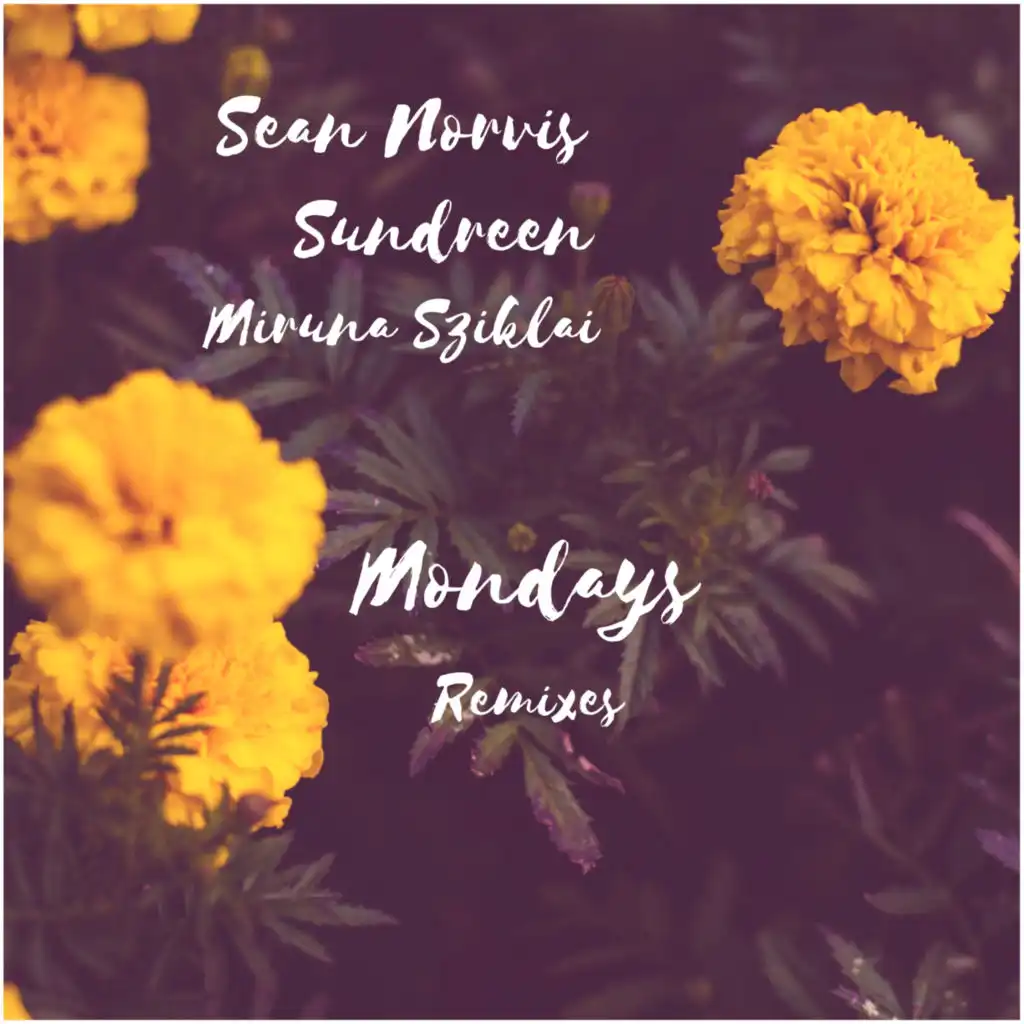 Mondays Remixes (feat. Sundreen & Miruna Sziklai)