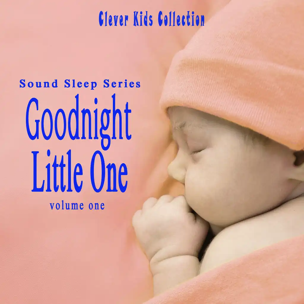 Sound Sleep Series: Goodnight Little One (Clever Kids Collection), Vol. 1