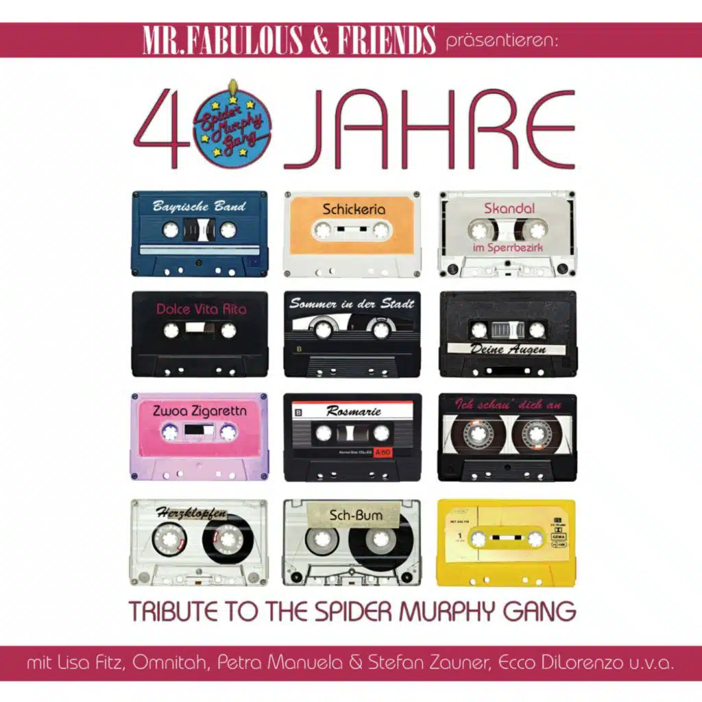 40 Jahre (Tribute To The Spider Murphy Gang)