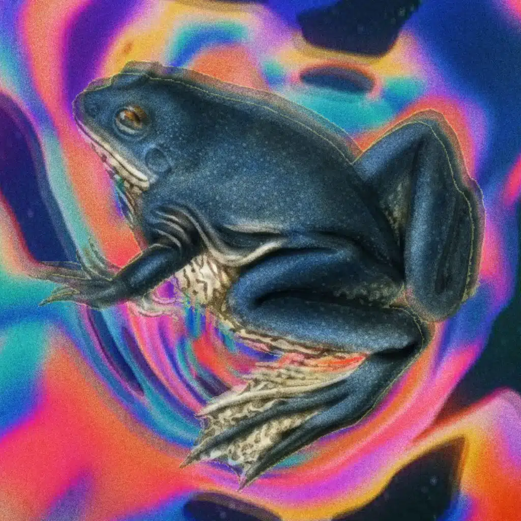 Slack / Somewhere Nowhere / Bottle It Up