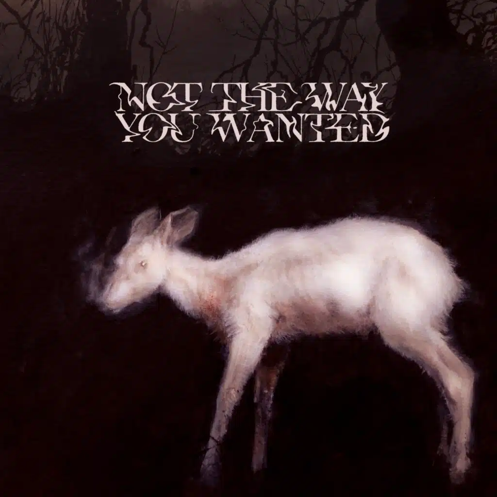 Not the Way You Wanted