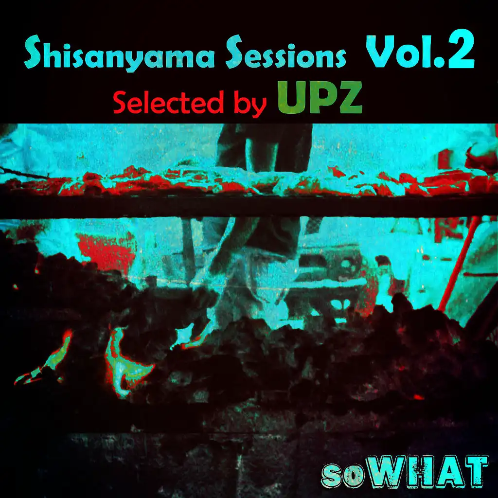 Shisanyama Sessions, Vol. 2 (Selected by UPZ)