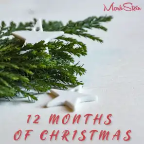 12 Months of Christmas