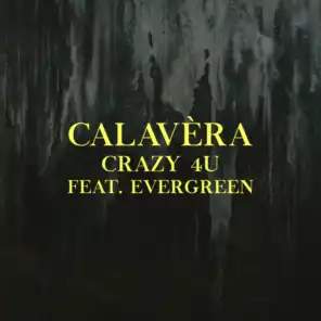 Crazy 4u (feat. Evergreen)