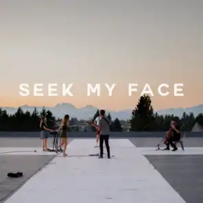 Seek My Face