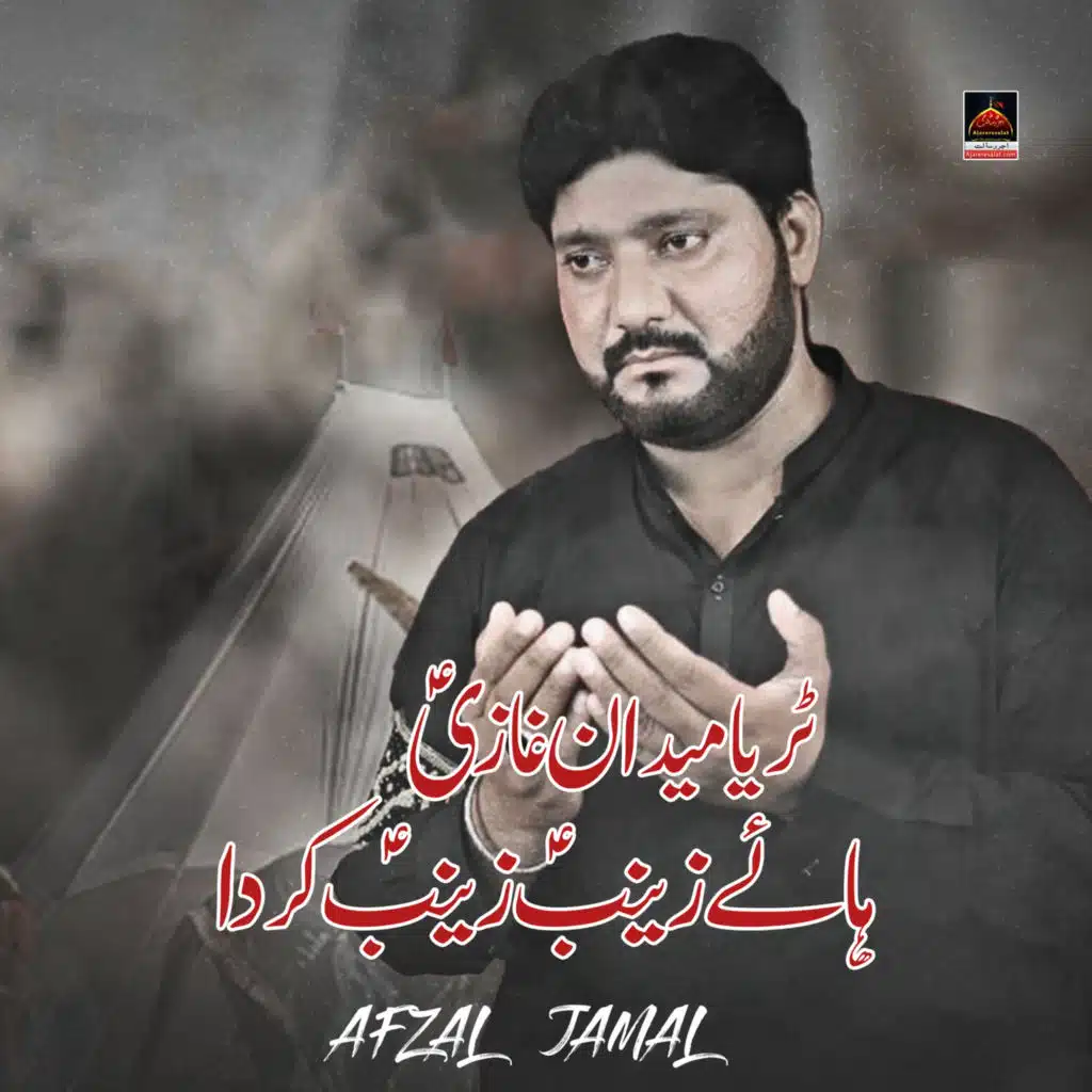 Haye Zainab Zainab Kerda - Single