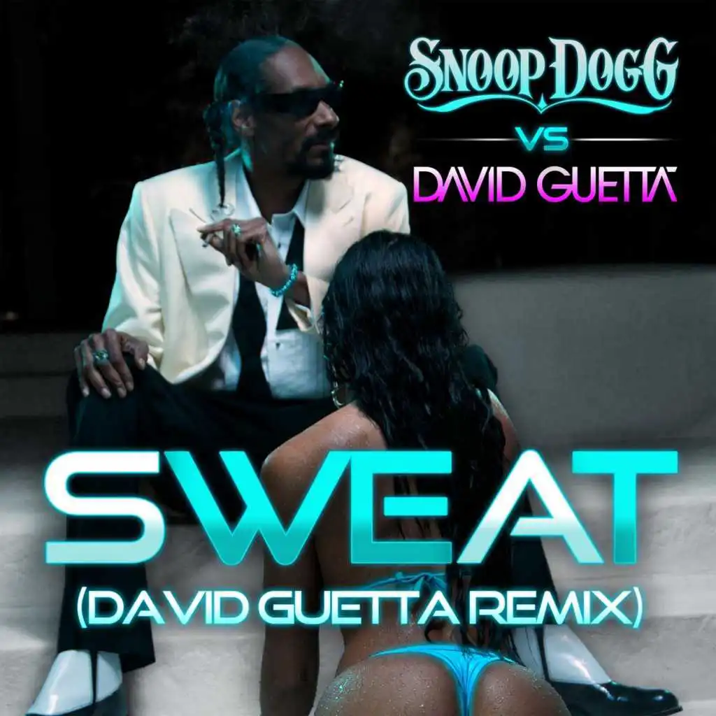 Wet (Snoop Dogg Vs. David Guetta) (Remix)