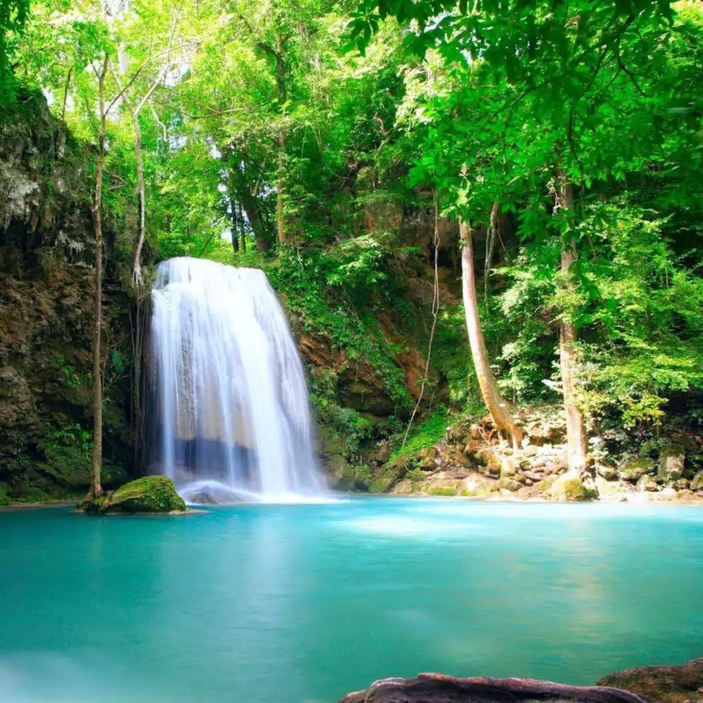 Christopher McGinnis