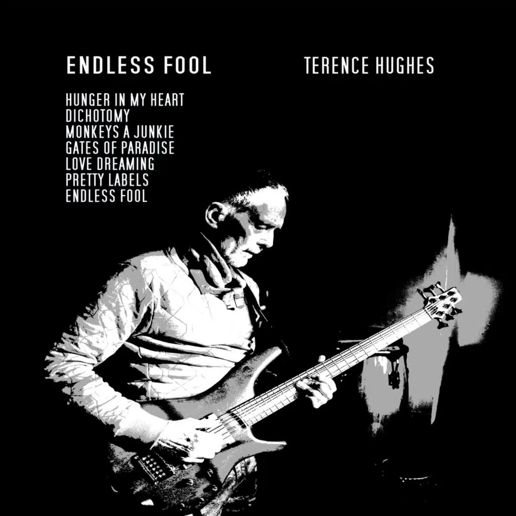 Endless Fool