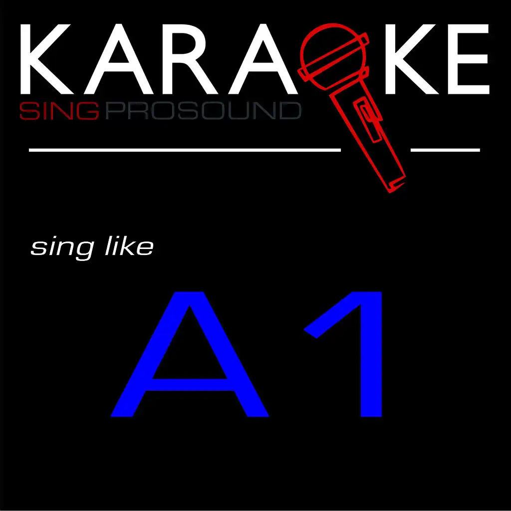Karaoke in the Style of A1