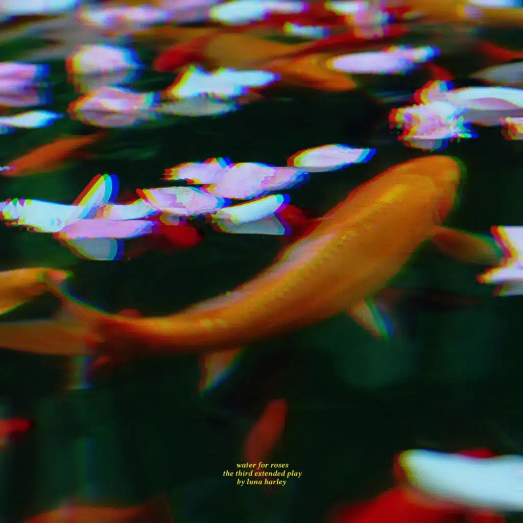 Water for Roses EP