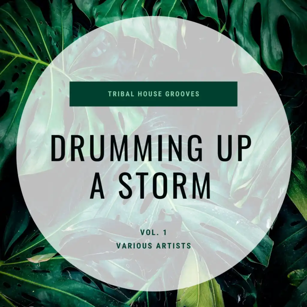 Drumming Up A Storm (Tribal House Grooves), Vol. 1