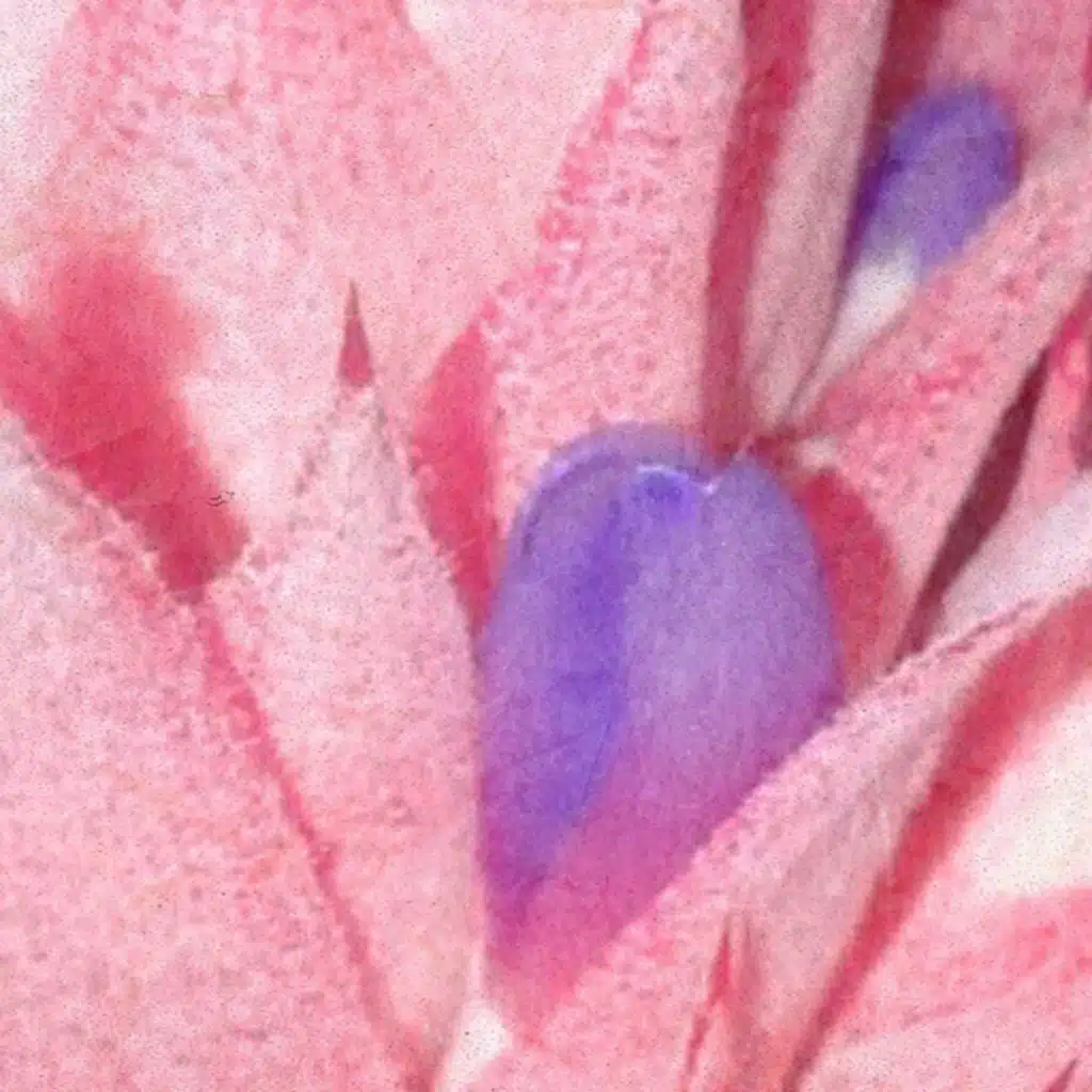 Medusa Without Snakes