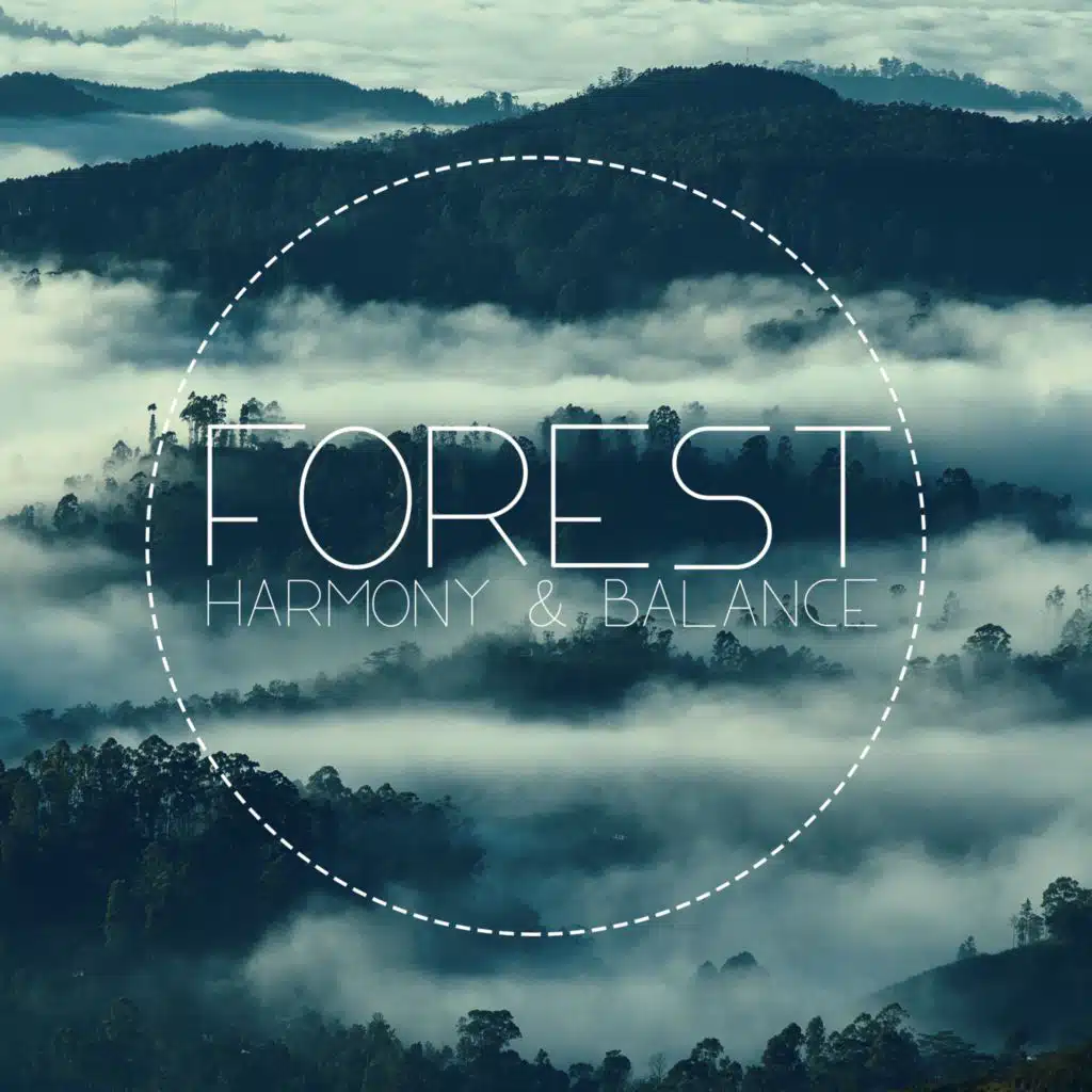 Forest Harmony & Balance (Natural Well-Being Music)