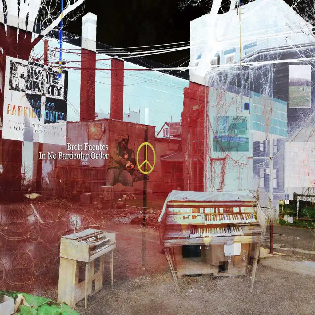 This Night Again (Live)