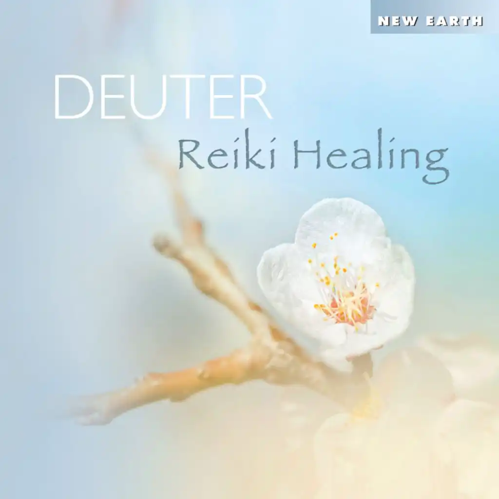 Reiki Healing