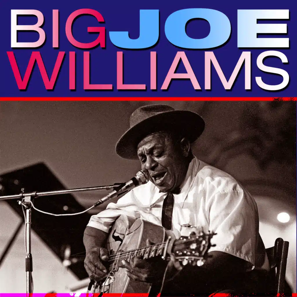 Big Joe Williams