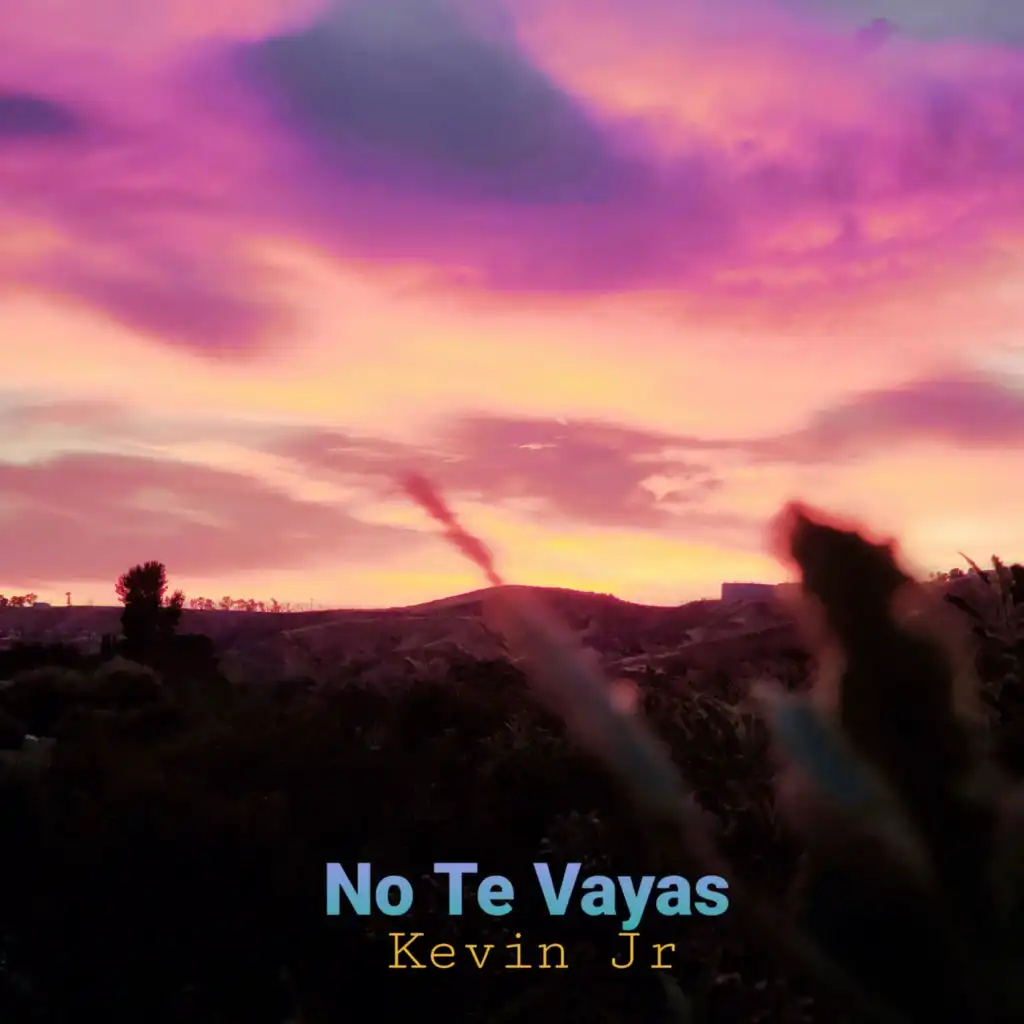 No te Vayas