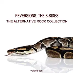 Perversions, The B-Sides: The Alternative Rock Collection Vol. 10