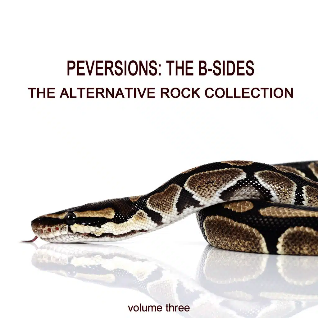 Perversions, The B-Sides: The Alternative Rock Collection Vol. 3